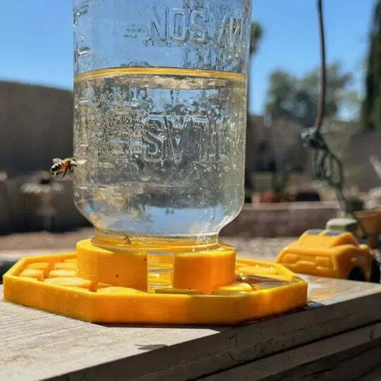 HiveDrink Hydrates Pollinator Life