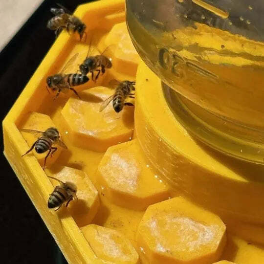 HiveDrink Hydrates Pollinator Life