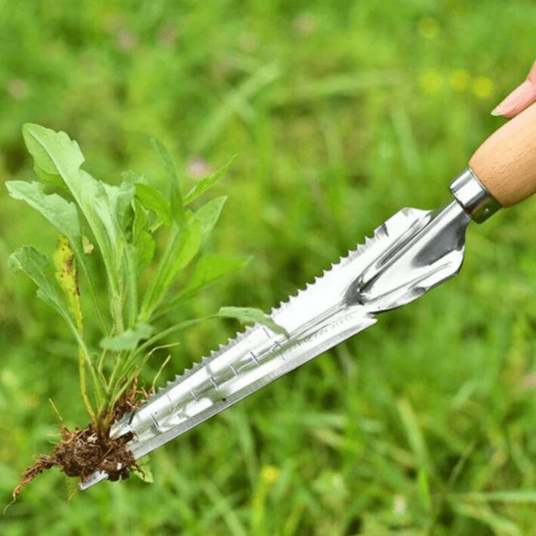 Effortless Weed Removal