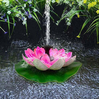 Harmonizing Lotus Stream