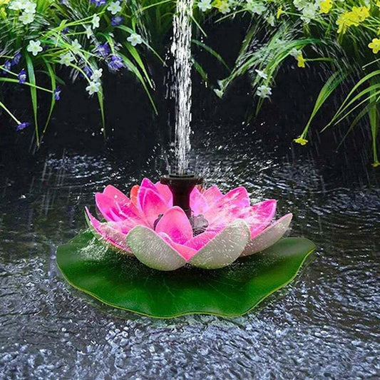Harmonizing Lotus Stream