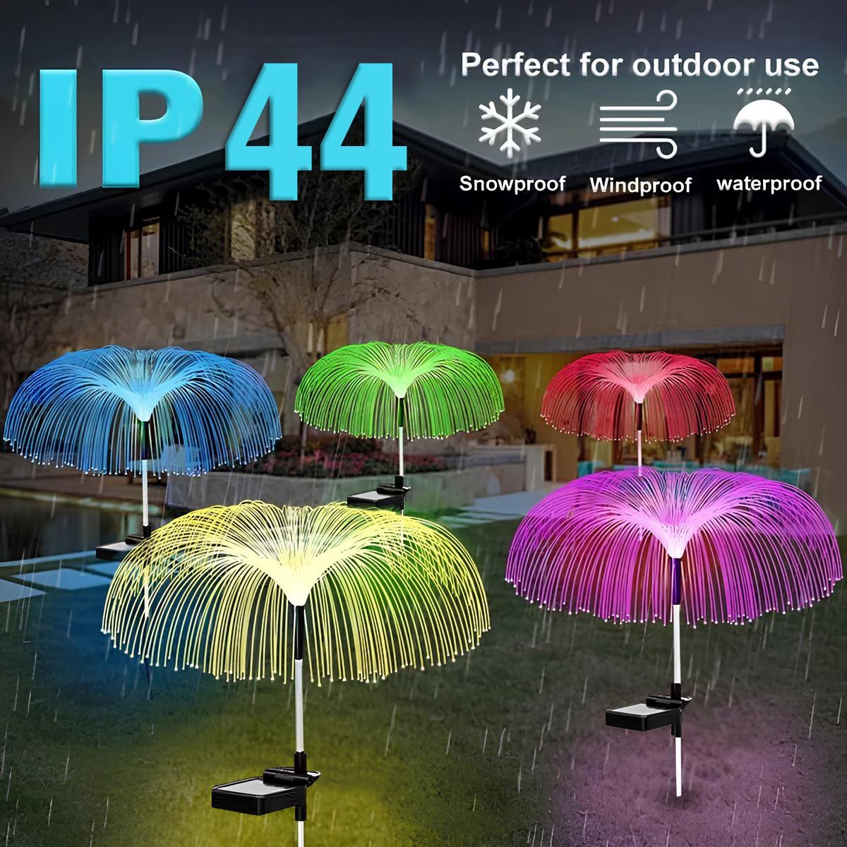Enchanting Outdoor Ambience