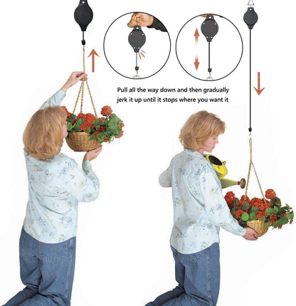 Mess-Free Plant Hanging