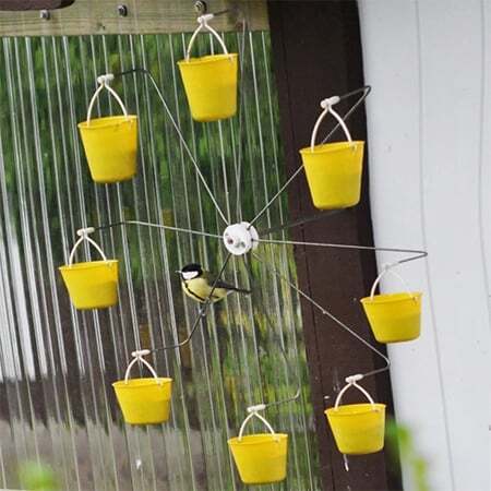 Whimsical Bird Entertainment