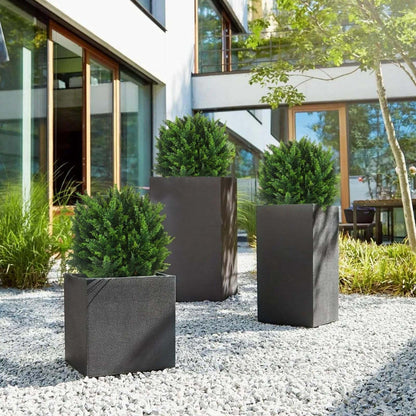 CedarGreen