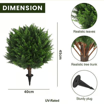 CedarGreen
